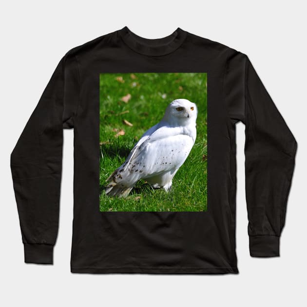 Snowy Owl Long Sleeve T-Shirt by declancarr